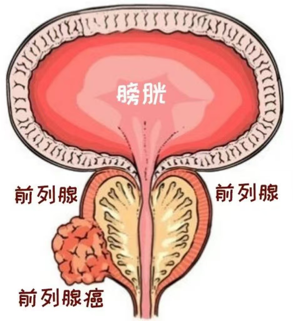 微信图片_20241022131825